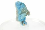 Vibrant Blue Cyanotrichite Crystal Aggregates - China #238795-1